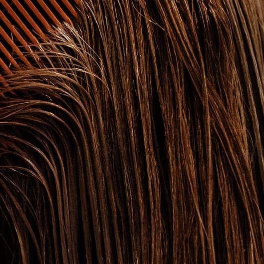 Hair growth treatment at Face and Body Day Spa in Bayfield, CO